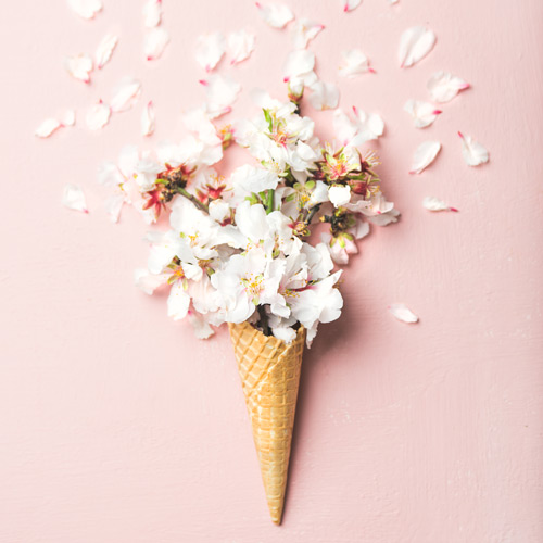 Happiest Birthday Upgrades